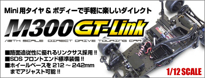 M300GT-LINK